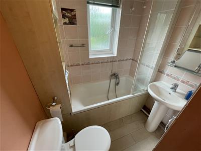 Picture 17